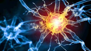Abstract illustration of active nerve cells representing the connection between hormones, metabolism, and cellular signaling.
